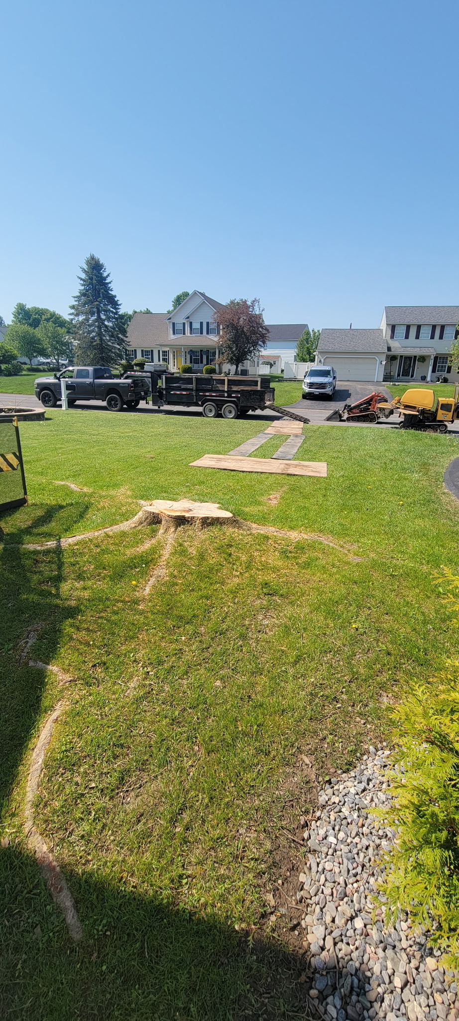 Yard with stump before grinding