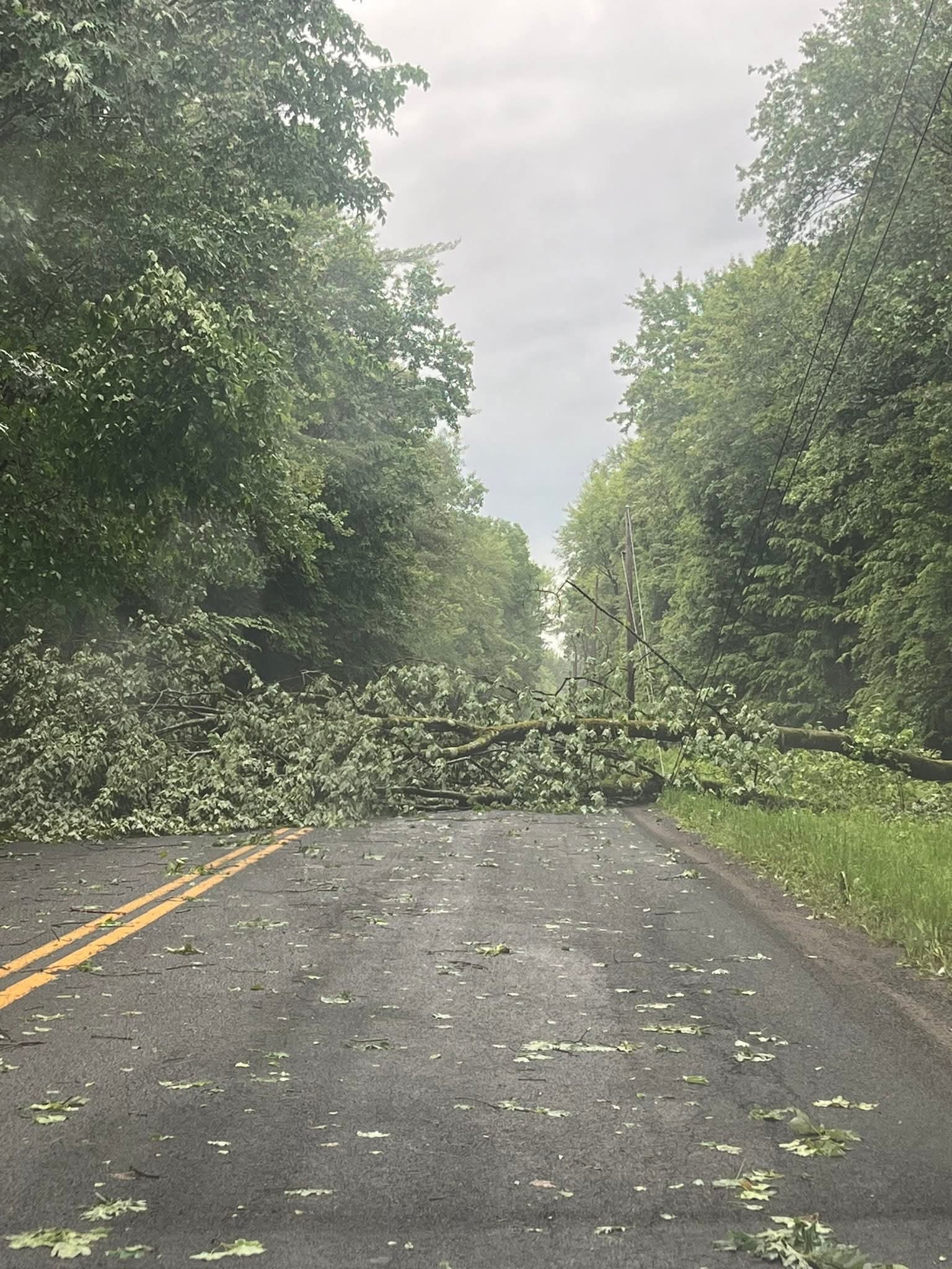 Storm Damage Cleanup Syracuse